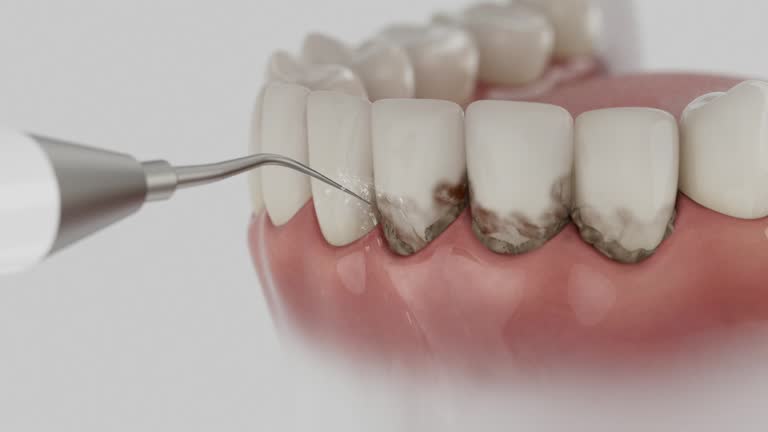 Reliable Dental contractor in Milton, WV by Dentist Open Now